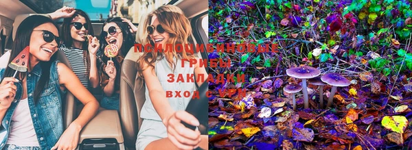 прущая мука Надым
