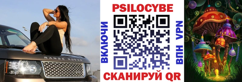 Купить где  Черняховск  Галлюциногенные грибы Cubensis 
