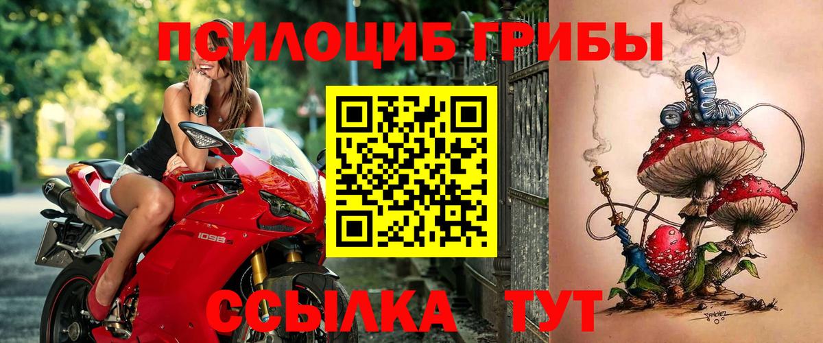 Галлюциногенные грибы мицелий Черняховск