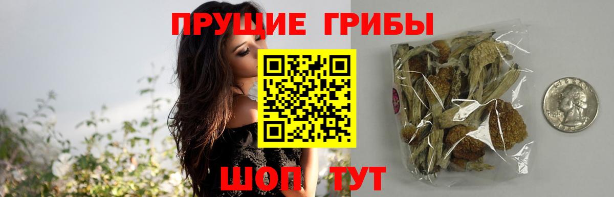 Галлюциногенные грибы Cubensis Черняховск